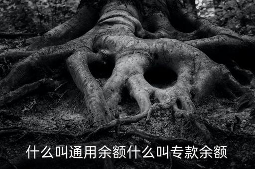 什么叫通用余額什么叫?？钣囝~