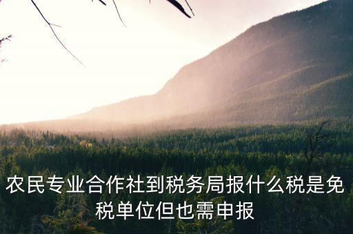 合作社應報什么稅，農(nóng)民專業(yè)合作社是怎樣報稅的是企業(yè)還是個體戶