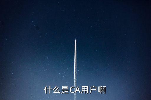 稅務(wù)總局ca系統(tǒng)是什么意思，Ca是什么