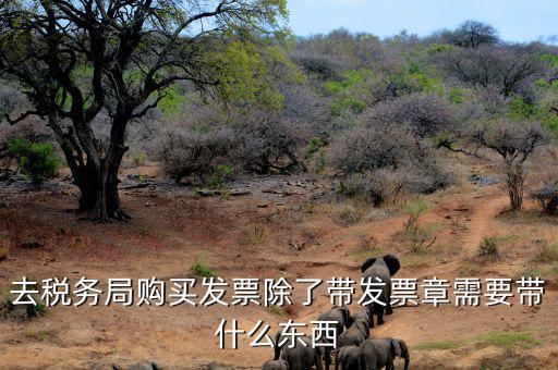 購發(fā)票需要什么資料，個(gè)人購物開增值稅普通發(fā)票需要什么資料