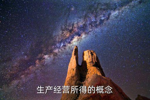 個人生產(chǎn)經(jīng)營所得c表是什么意思，生產(chǎn)經(jīng)營所得的概念