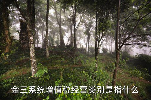 稅局的金三是指什么意思，金稅三期是什么意思