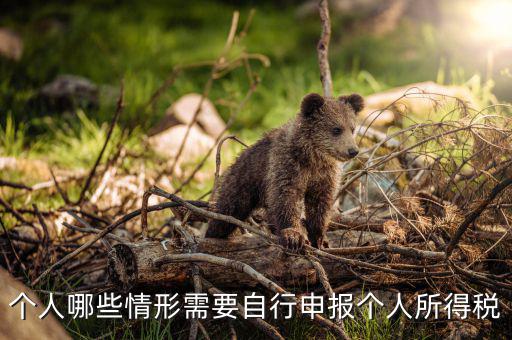 什么人申報個稅，個人哪些情形需要自行申報個人所得稅