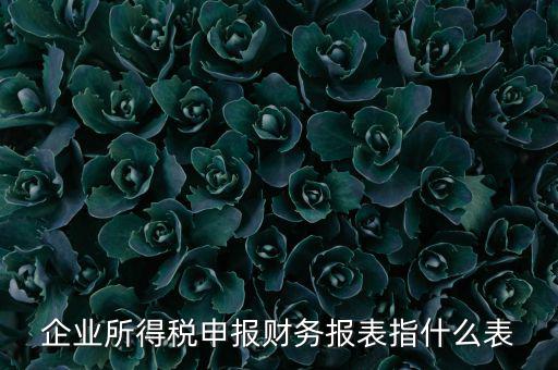 千戶集團(tuán)財務(wù)報表申報是什么，2015年度財務(wù)報表和申報表指的是啥