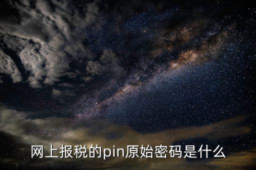 國稅什么叫pin碼，機(jī)構(gòu)代碼的ca證書的PIN碼是什么我用CA證書登陸國稅時提示詳細(xì)
