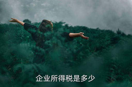 生產(chǎn)企業(yè)稅收標(biāo)準(zhǔn)是什么，企業(yè)所得稅是多少