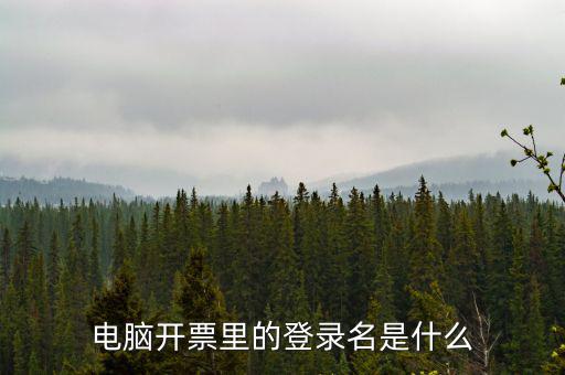 電子稅務(wù)局登錄賬號是什么意思，企業(yè)金稅盤系統(tǒng)用來開票抄稅報(bào)稅用那登錄國稅地稅局網(wǎng)站是干嘛的