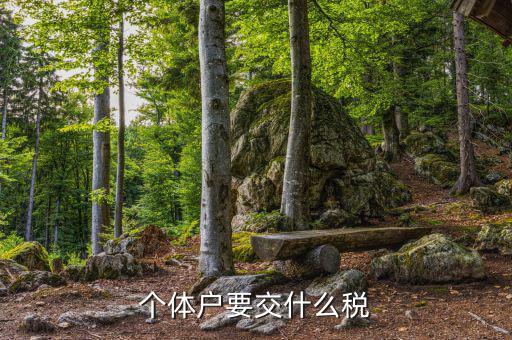 個(gè)體戶(hù)要交什么稅