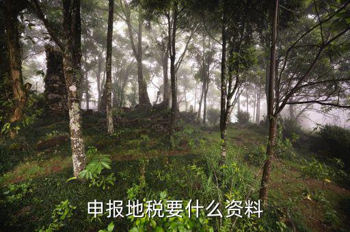 申報地稅需要帶什么材料，申報地稅要什么資料
