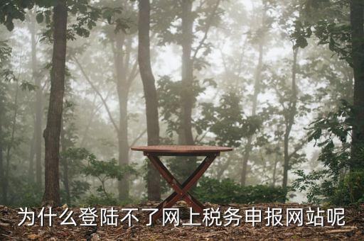申報個稅登錄不上去是什么原因，為什么我的個人所得稅總是登不上去