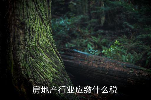 房地產(chǎn)企業(yè)要交什么稅，房地產(chǎn)行業(yè)應(yīng)繳什么稅