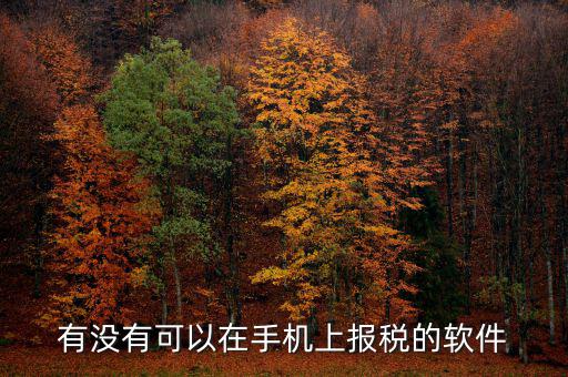 手機(jī)辦稅是什么，賣手機(jī)怎樣納稅