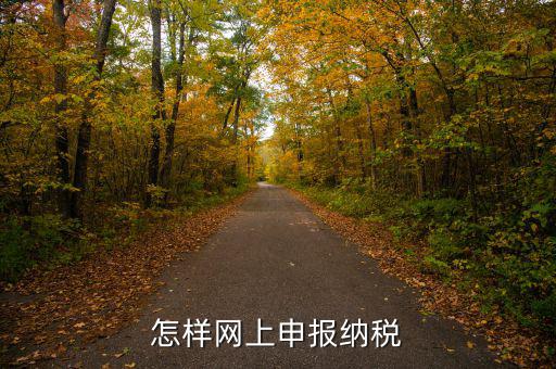 網(wǎng)上用什么申報(bào)稅務(wù)，怎樣網(wǎng)上申報(bào)納稅
