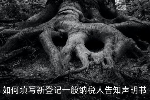 納稅人聲明是什么意思，一般納稅人申報(bào)表主表的申明人必須輸入是什么意思
