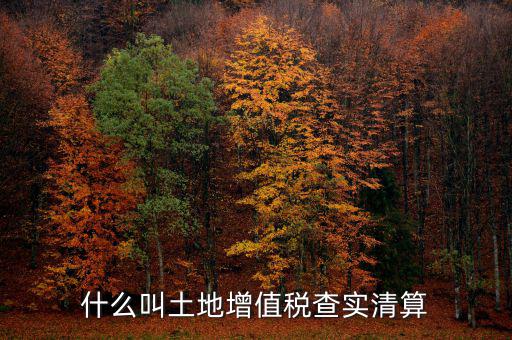 土地增值稅為什么清算，土地增值稅清算