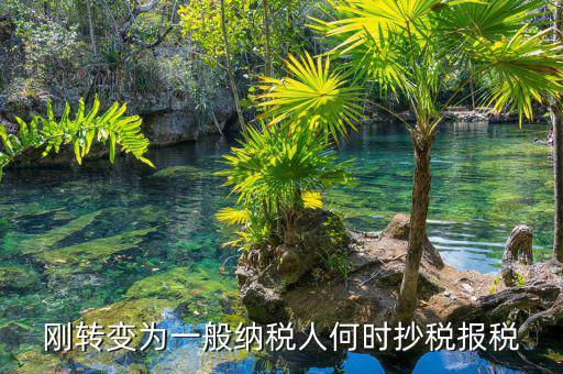 什么時候抄報稅，什么時候去國稅局抄稅