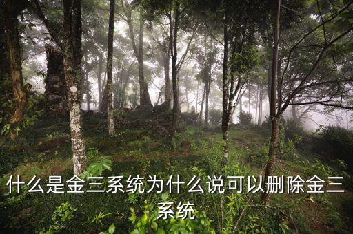 國(guó)稅金三系統(tǒng)是什么，什么是金三系統(tǒng)為什么說(shuō)可以刪除金三系統(tǒng)