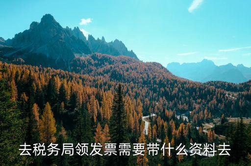 領(lǐng)定額發(fā)票帶什么，去稅務(wù)局領(lǐng)發(fā)票需要帶什么資料去
