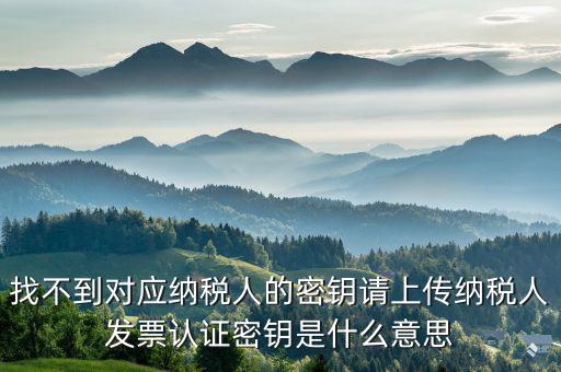 稅務(wù)的key是什么意思，國(guó)稅報(bào)稅用戶名與key不符什么意思
