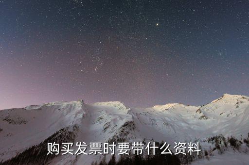 購(gòu)發(fā)票 帶什么資料，購(gòu)買(mǎi)增值稅普通發(fā)票需要帶什么資料