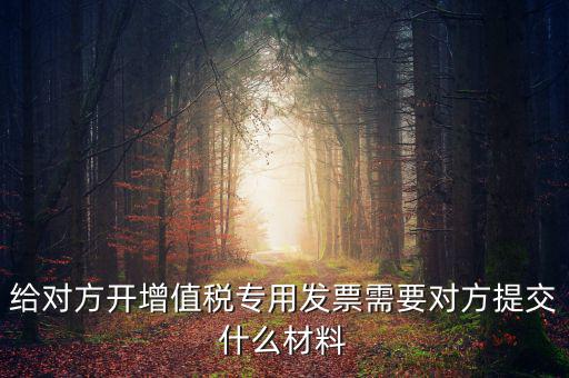 開專票要什么資料，加油卡開增值稅專用發(fā)票需要什么資料