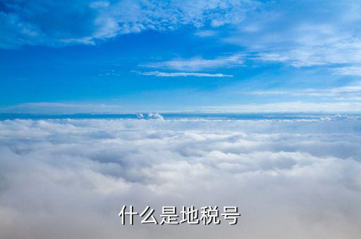 稅務(wù)賬號是什么，什么是地稅號