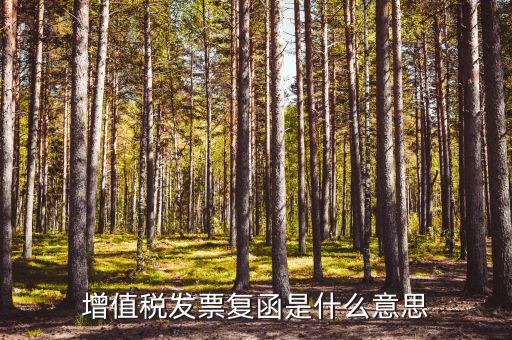 發(fā)票發(fā)函是什么意思，增值稅發(fā)票復(fù)函是什么意思