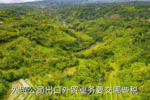 外貿(mào)公司出口外貿(mào)業(yè)務要交哪些稅