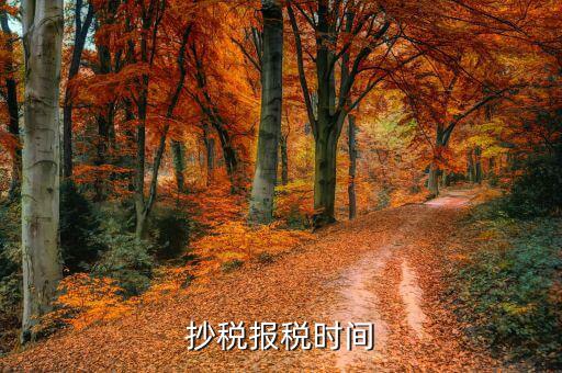 報(bào)稅廳抄報(bào)什么時(shí)候點(diǎn)，抄報(bào)稅的時(shí)間問題