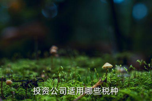 投資款需要交什么稅，投資公司適用哪些稅種