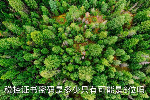 修改稅務(wù)數(shù)字證書密碼是什么，稅務(wù)數(shù)字證書密碼忘記或鎖定如何解決