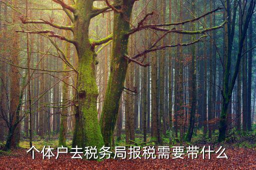 個體戶定稅需要帶什么意思，個體戶去稅局交稅都需要帶甚么