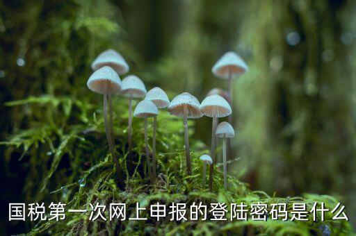 國稅登記密碼是什么，國稅第一次網上申報的登陸密碼是什么
