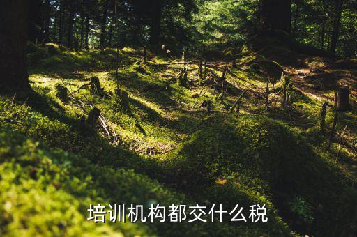 2017培訓(xùn)機(jī)構(gòu)交什么稅，培訓(xùn)機(jī)構(gòu)需要交稅的種類有多少