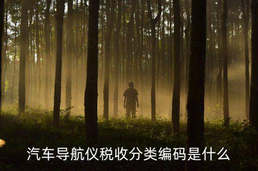 汽車的稅收分類編碼是什么意思，汽車導(dǎo)航儀稅收分類編碼是什么