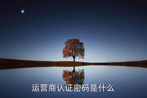 網上認證密碼密碼是什么，一般上網認證系統(tǒng)初始密碼是什么