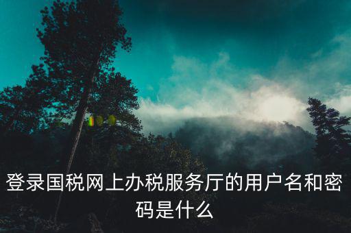 電子稅務(wù)局登錄密碼是什么，國稅第一次網(wǎng)上申報(bào)的登陸密碼是什么