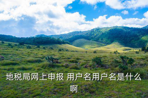 地稅網(wǎng)重置賬號(hào)和密碼是什么，地稅網(wǎng)上申報(bào)初始密碼是多少