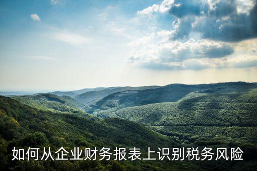 稅務(wù)風(fēng)險(xiǎn)核查是什么意思，虛開增值稅專用發(fā)票核查 什么意思