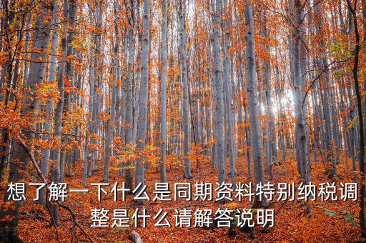 什么是特別納稅調(diào)整監(jiān)控管理階段，想了解一下什么是同期資料特別納稅調(diào)整是什么請解答說明