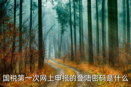 廣州國稅官網登錄密碼是什么，稅務局網站的登入賬戶初始密碼是什么