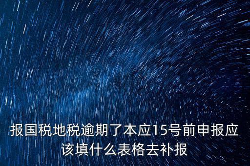 補(bǔ)錄國(guó)地稅信息都錄什么，報(bào)國(guó)稅地稅逾期了本應(yīng)15號(hào)前申報(bào)應(yīng)該填什么表格去補(bǔ)報(bào)