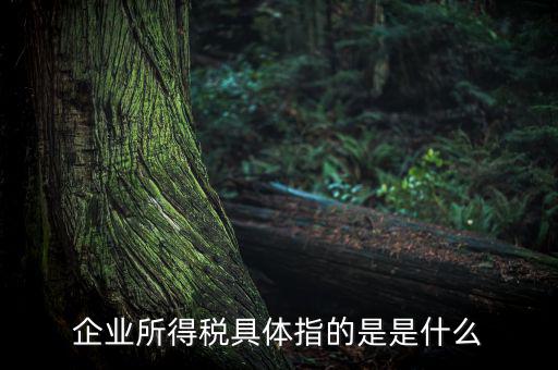 什么是企業(yè)所得，什么是企業(yè)所得稅