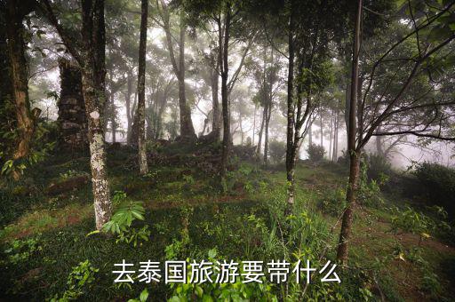 稅務(wù)局的信仰是什么，道德模范有哪些