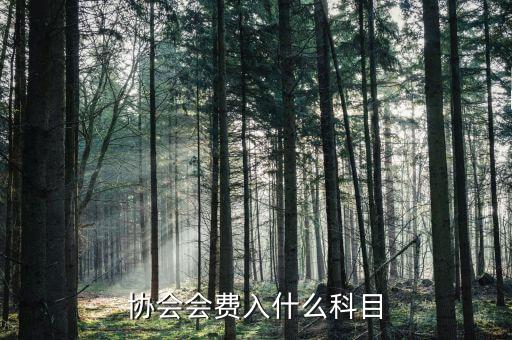 行業(yè)協(xié)會會費開什么票，交行業(yè)協(xié)會會費應(yīng)入哪個科目