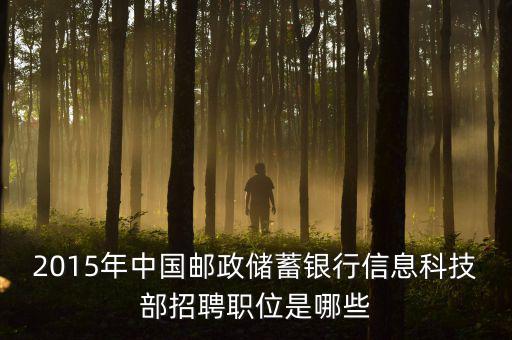 郵政2015主要工作為11333是什么，關(guān)于2015年的郵政郵遞員工作的問題
