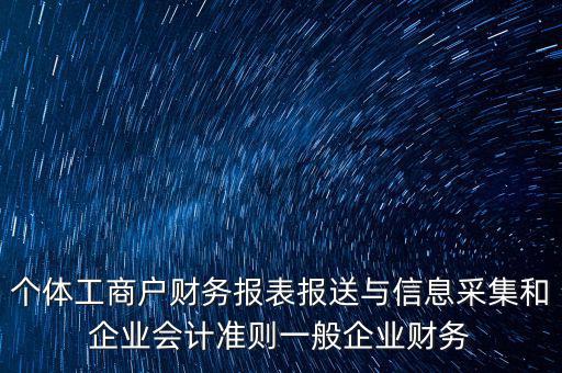 個(gè)體工商戶(hù)財(cái)務(wù)報(bào)表報(bào)送與信息采集和企業(yè)會(huì)計(jì)準(zhǔn)則一般企業(yè)財(cái)務(wù)