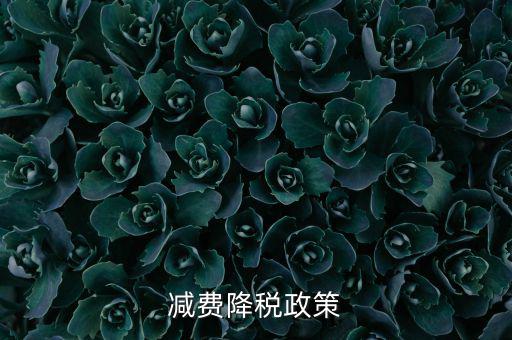 做好6項(xiàng)減稅政策的內(nèi)容是什么，減費(fèi)降稅政策