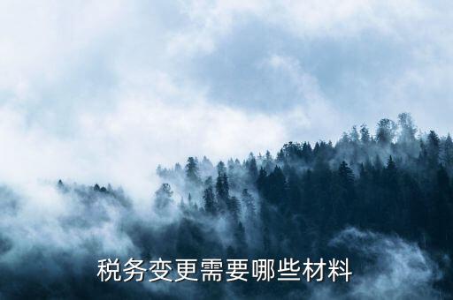 變更辦稅員要帶什么，財(cái)務(wù)負(fù)責(zé)人和辦稅員的變更需要辦理哪些手續(xù)