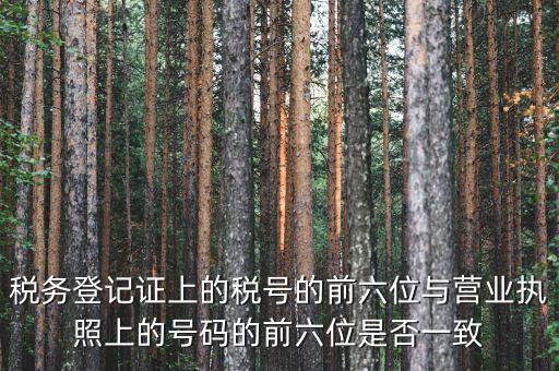 稅號前六位代表什么，納稅識別號前六位數(shù)為140111是什么意思